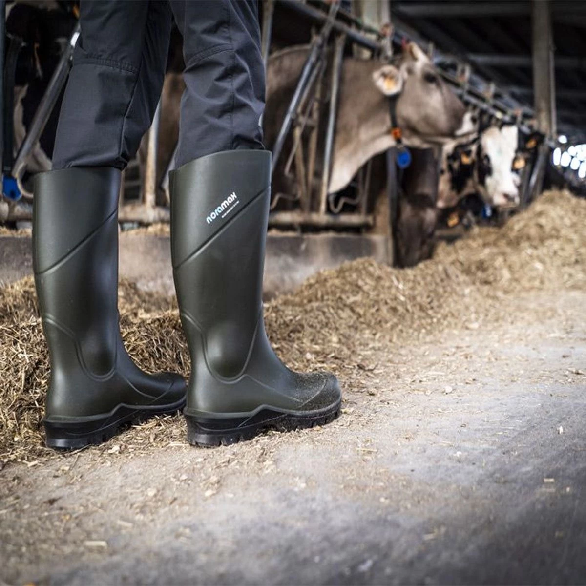 Nora Max Wellington Boots - Green 2 Nora Max Wellington Boots - Green - Image 2