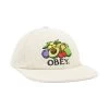 OBEY Fruits 6 Panel