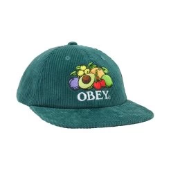 OBEY Fruits 6 Panel -Fashion Lady obey fruits 6 panel p115798 586534 image