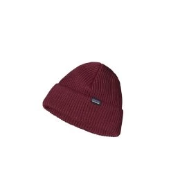 Patagonia Fisherman's Rolled Beanie -Fashion Lady patagonia fishermans rolled beanie p89843 392311 image